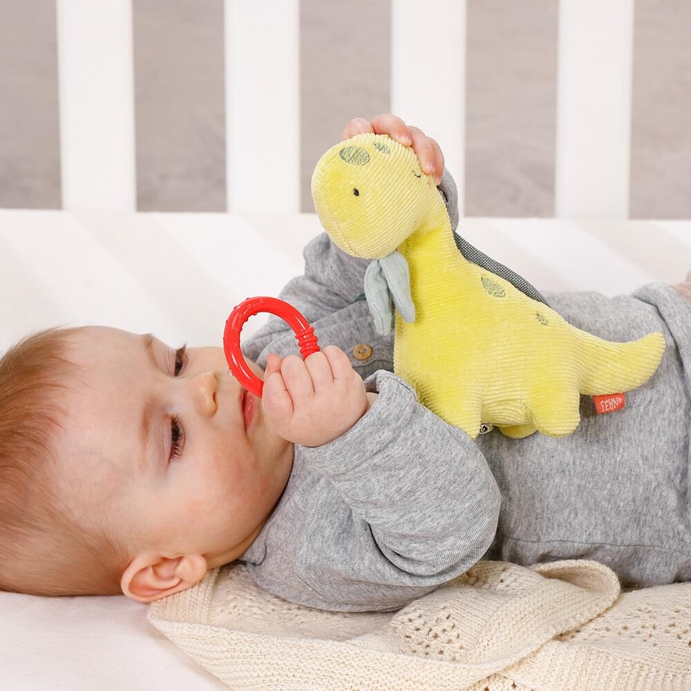 051018-3 fehn, dino, babyspeelgoed speeldoosje geluid muziek