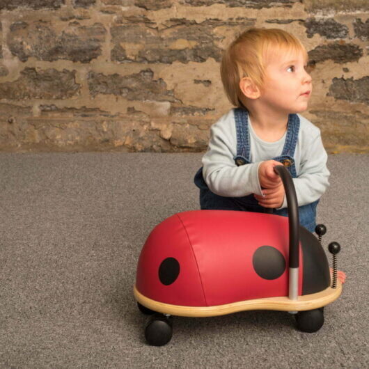 wheelybug wheelybugs peuterspeelgoed babyspeelgoed leren lopen rijden trapauto loopauto loopfiets